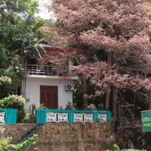 Green Garden Homestay, 吉里塔莱 — 照片 4
