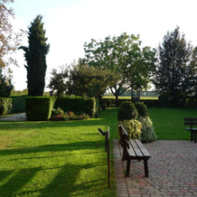 Le Vigne Morosina, 切萨尔托 — 照片 3