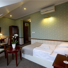 Hotel Golden Eagle, Левице — фото 4