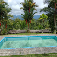 Mirador Osa, Isla Violin — photo 3