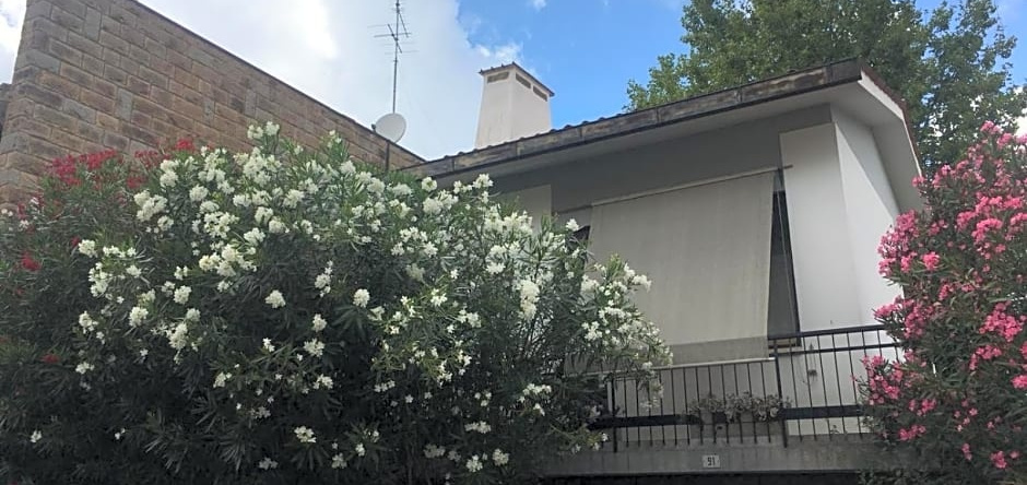 Alla Rotonda dai Santi, Rovigo — photo 1