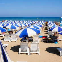 Villaggio Uliveto, 罗迪加尔加尼科 — 照片 2