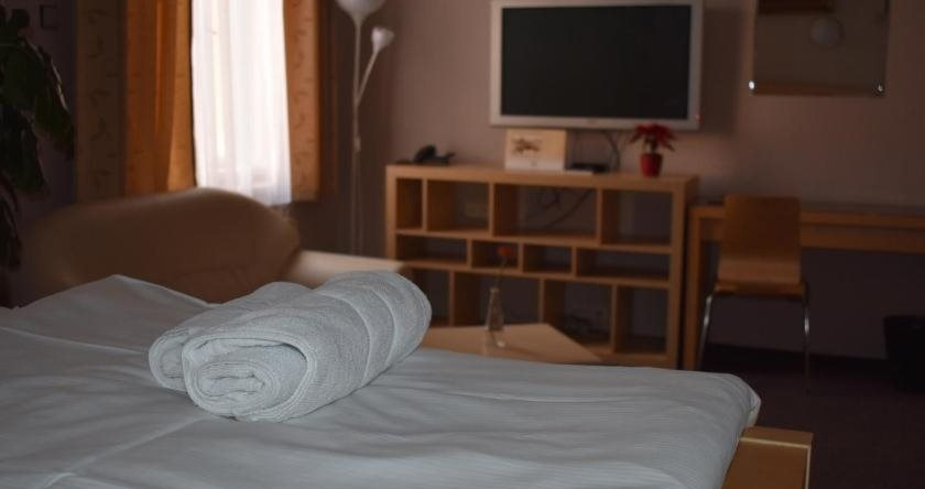 Hotel Zlatá Štika, Пардубице — фото 1