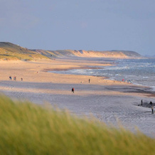 Dancamps Holmsland, Hvide Sande — photo 3