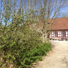 B&B Hof Van Steelant, Зедельгем — фото 4