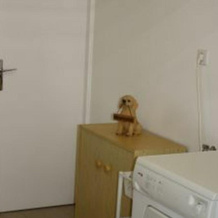 Chalet Ban-sur-Meurthe-Clefcy, 4 pièces, 5 personnes - FR-1-589-33, 默尔特河畔邦-克莱夫西 — 照片 2