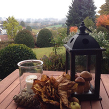 Fewo Vulkaneifel, Tettscheid — photo 4