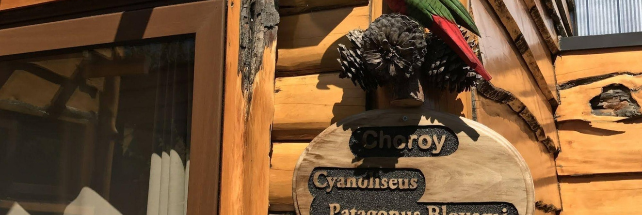 Cabañas Pewma Futrono, Футроно — фото 1