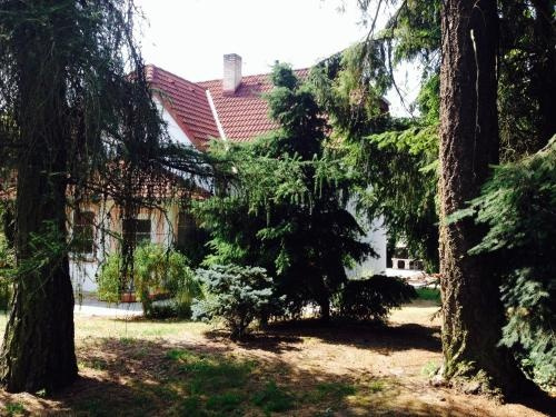 Apartmány Třeboň Vila EVIO, Jindrichuv Hradec — photo 1