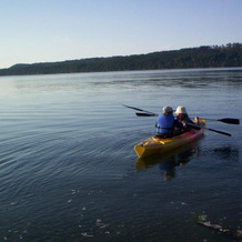 Ships Point Inn, Fanny Bay — photo 2