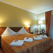 Hotel Delfin Spa&wellness, 达布基 — 照片 5