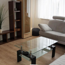 BodenSEE Apartment Meckenbeuren, 梅肯博伊伦 — 照片 3