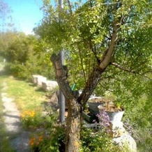 B&B Nonno Severino, Санто-Стефано-ди-Сессанио — фото 3
