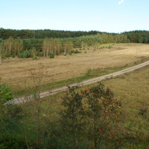 Samotnia Pod Zelaznym Koniem, Ломжа — фото 4