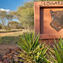Leopardsong Game Lodge, Каллинан — фото 5