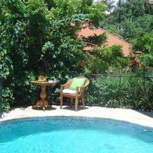 The Raja Singha Boutique Resort Bali, 特木科 — 照片 5