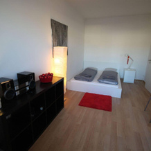 Letzigrund Apartments, Zurich — photo 5