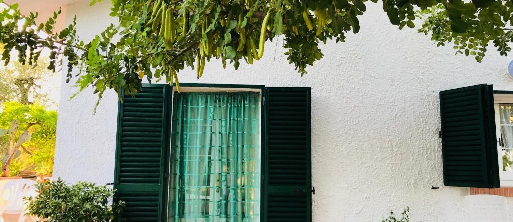 Villa Il Carrubo - Basilicata, Pisticci — photo 1
