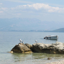 Apartman Antea, Arbanija — photo 4