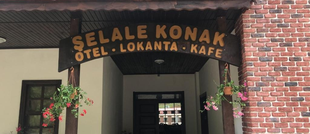 Selale Konak Cavus'un Yeri, Cayeli — photo 1