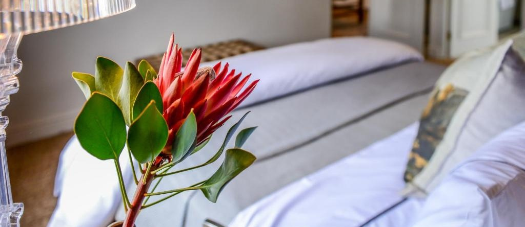 Collection Luxury Apartments: De Zalze Lodge, 斯泰伦博斯 — 照片 1