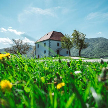 Wine Grower's Mansion Zlati Gric, Slovenske Konjice — photo 3