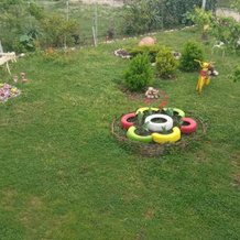Guest House Nargo's garden, 马尔特维利 — 照片 5