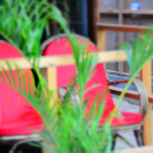 Roundcube Beach Bungalows, 南果阿 — 照片 5