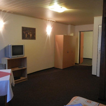 Guest House Pod Lesem Merklín, 梅尔克林 — 照片 2
