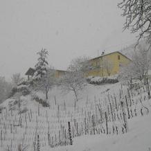 Agriturismo Il Crutin, 圣斯特凡诺贝尔博 — 照片 4