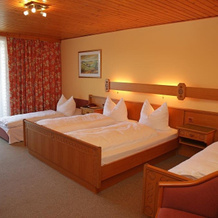 Hotel Schneeweiss, 阿特湖 — 照片 5