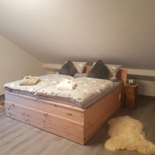 Ferienwohnung Klothilde, 迪廷根 — 照片 4