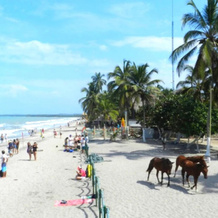 Cabañas Familiares Palomino VII, 帕洛米诺 — 照片 4