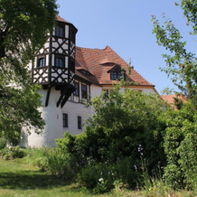 Domherrenhaus Meissen, Meissen — photo 2