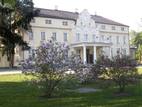 Pałac Witaszyce, Miloslaw — photo 1