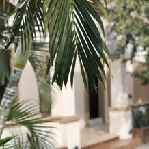 The Place At Casa 511, 马萨特兰 — 照片 2