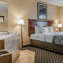 Quality Inn And Suites Coldwater Area, Колдуотер — фото 3