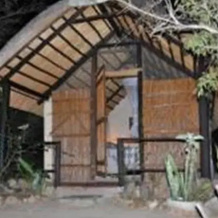 Nobene Lodge, Acornhoek — photo 5