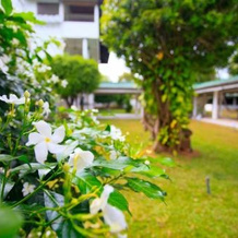 Sorabora Gedara Hotel, 马希扬加纳亚 — 照片 3