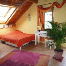 Bed & Breakfast Wepfer, Gossau (ZH) — photo 3