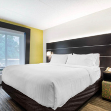 Holiday Inn Express And Suites Albany Airport- Wolf Road By Ihg, Олбани — фото 3