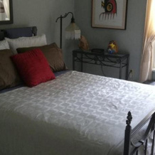 Turtle Island Bed And Breakfast, Гананок — фото 3