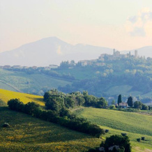 Agriturismo Fara, 蒙特焦尔达诺 — 照片 5