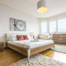Alpine Stunning Apartment in Montreux, 蒙特勒 — 照片 3