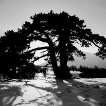 Tana Libera Tutti 2 Nature, Yourself, Love, 维贾内洛 — 照片 4