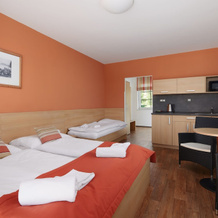 Garni & apartman hotel Albatros, Přední Výtoň — photo 5