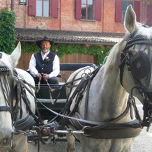 Agriturismo Cascina Vrona, Monteu Roero — photo 4