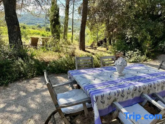 Mansion In Vaison-La-Romaine With Private Pool, Сен-Ромен-ан-Вьеннуа — фото 1