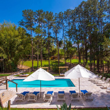 Itu Garden SPA e Resort Saudavel, 费利斯港 — 照片 2