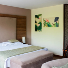Le Baron Tavernier Hôtel Restaurants Spa, 皮杜 — 照片 5